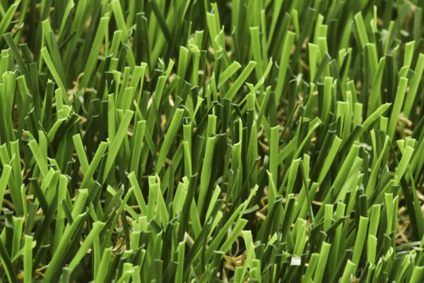 Evergreen Pro - Image 2